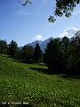 prato verde a Lauco